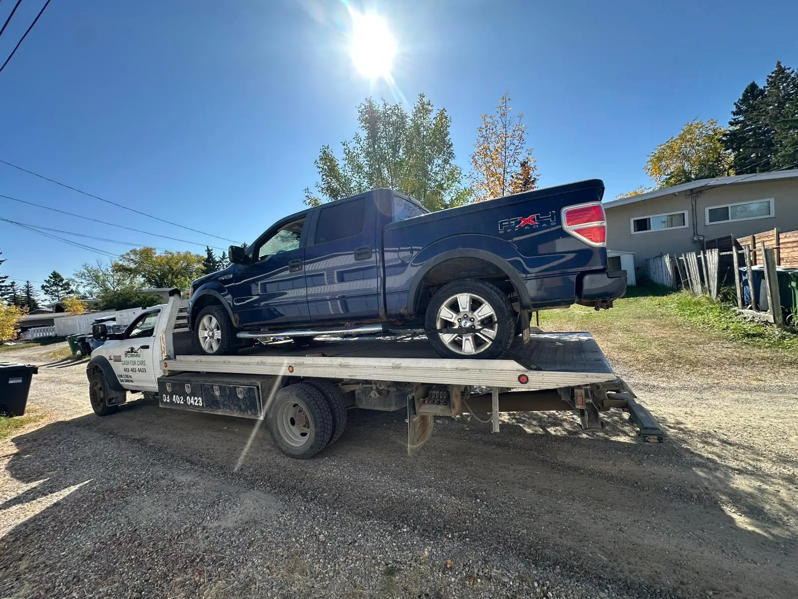 Professional Service